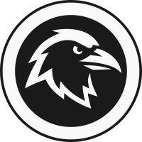 RAVENco Logo - Innovation and Digital Strategy Services